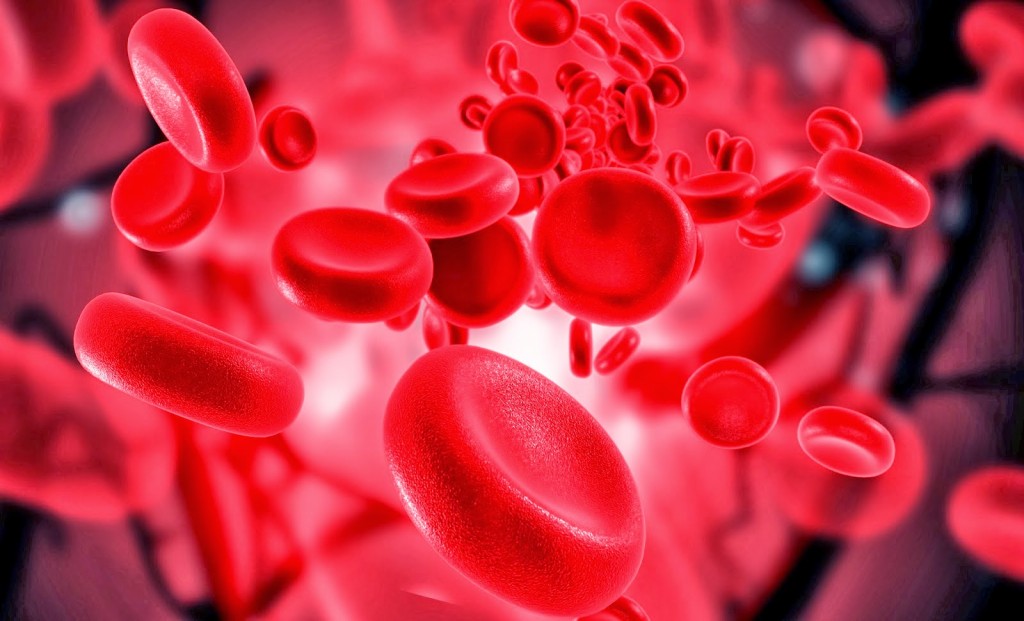 10 remédios caseiros para eliminar a anemia: como fazer e receitas
