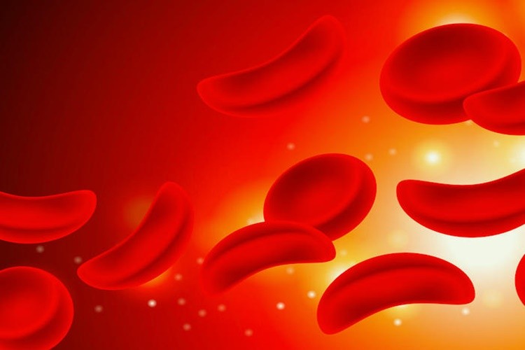 Os 8 remédios caseiros para anemia: como fazer e receitas