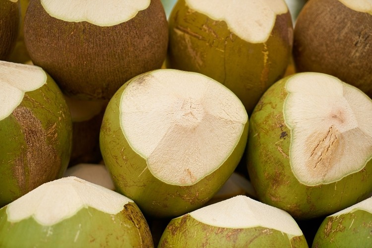 Água de coco ajuda a regular o colesterol, desintoxica o corpo: veja os 5 benefícios