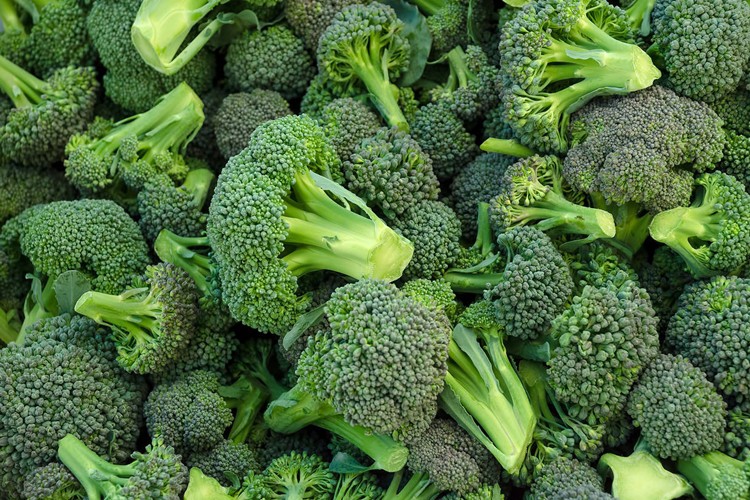 Brócolis ajuda a emagrecer, diminuir o colesterol: veja os 7 benefícios