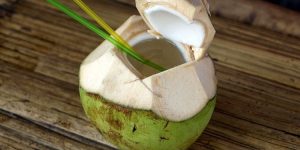 água de coco vs. leite de coco