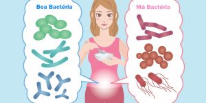 beneficios dos probioticos