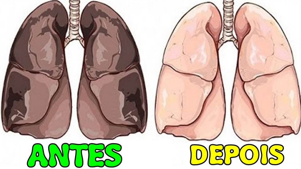 receita caseira para limpar seus pulmoes