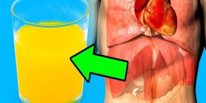 babosa e limao para eliminar toxinas do corpo