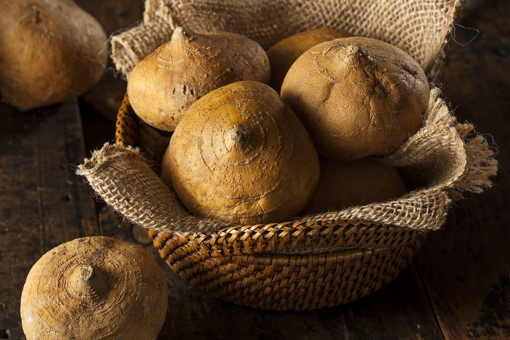 beneficios da jicama para saude e beleza