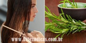 beneficios do alecrim para o cabelo