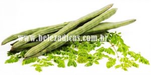 moringa para curar tumores