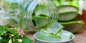 aloe vera beneficio