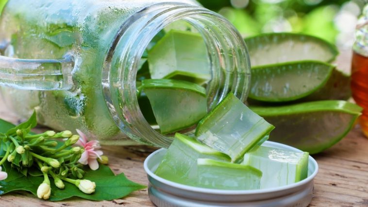 aloe vera beneficio