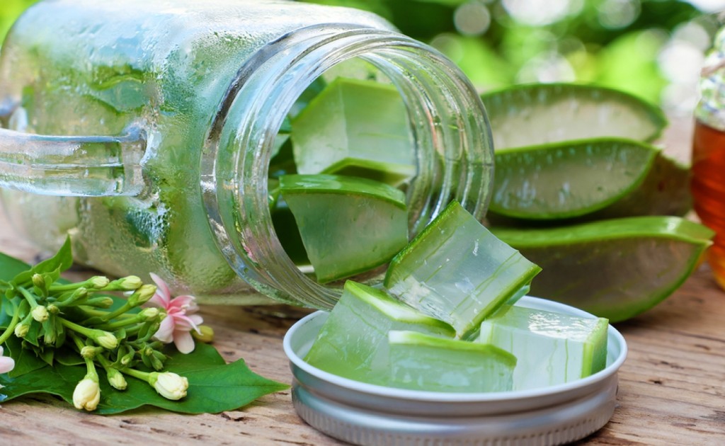 aloe vera beneficio