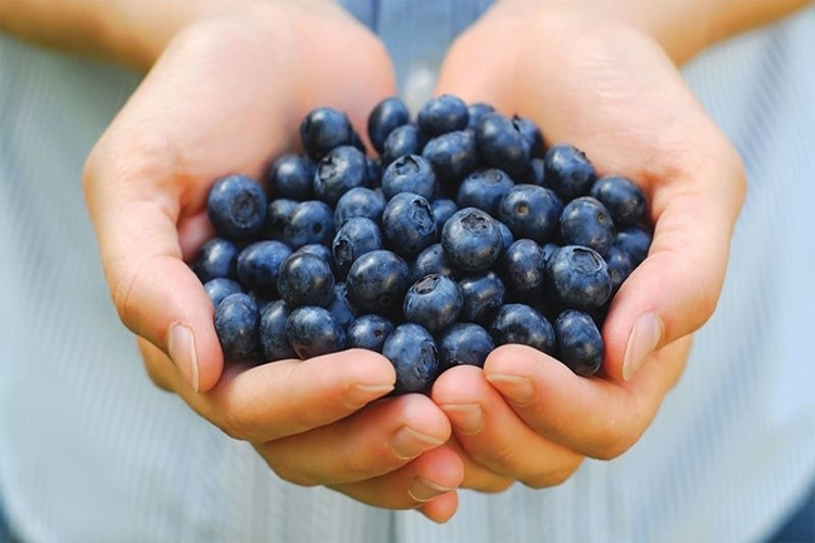 Açaí ajuda na perda de peso, diminui o colesterol: veja os 11 benefícios