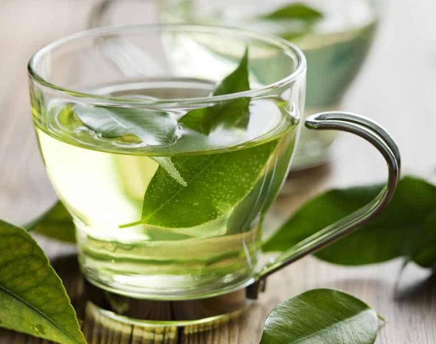 Chá de boldo melhora a digestão, reduz açúcar do sangue: veja os 10 benefícios
