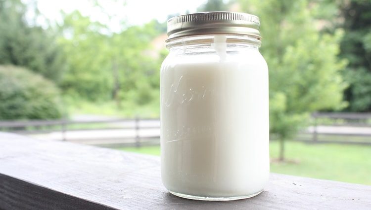 kefir