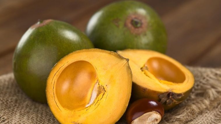 lucuma
