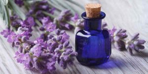 oleo de lavanda para o cabelo