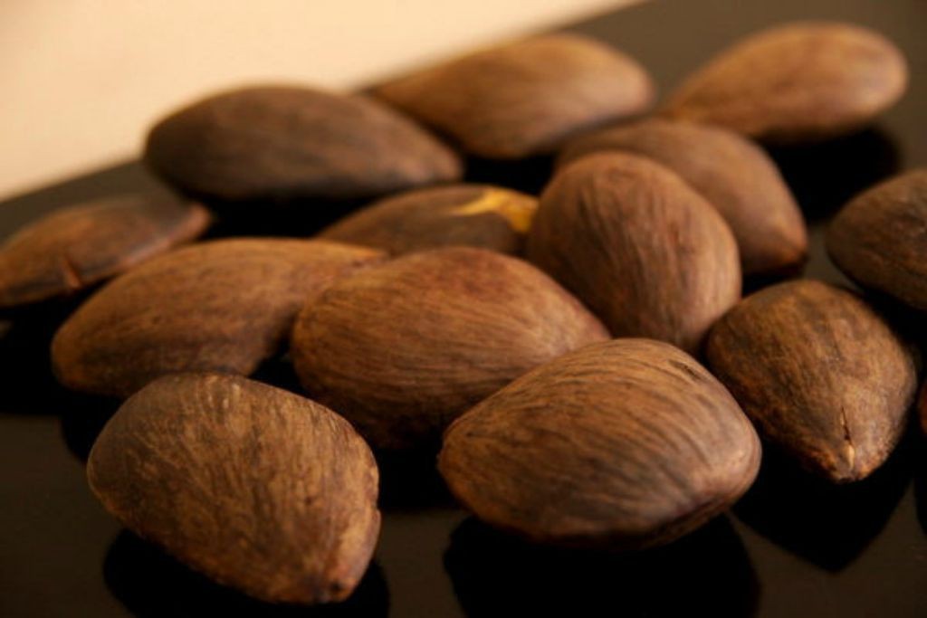oleo de pracaxi para o cabelo Óleo de pracaxi para o cabelo: como usar, benefícios e receitas