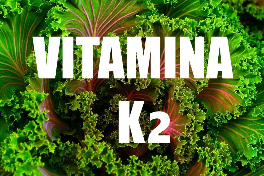 o que é a vitamina K2?