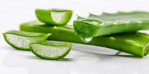 aloe vera para acne e hidratação da pele