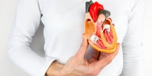 quais os benefícios das nozes para saúde cardíaca?