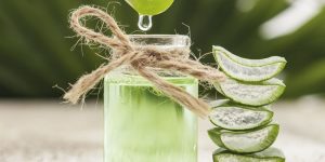 receita caseira de aloe vera para eliminar varizes