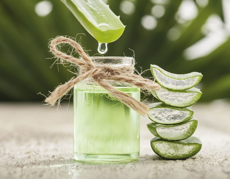 receita caseira de aloe vera para eliminar varizes