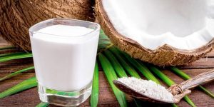 beneficios do leite de coco para saude
