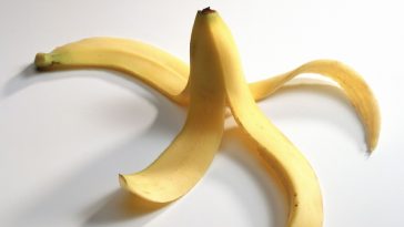 casca de banana