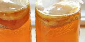 benefícios do chá kombucha para saúde