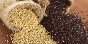 quinoa para perder peso