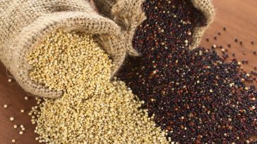 quinoa para perder peso