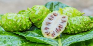 beneficios do suco de noni para saúde