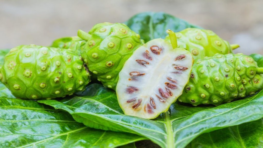 beneficios do suco de noni para saúde