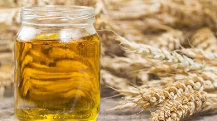 5 benefícios do óleo de gérmen de trigo para o cabelo: como usar e dicas