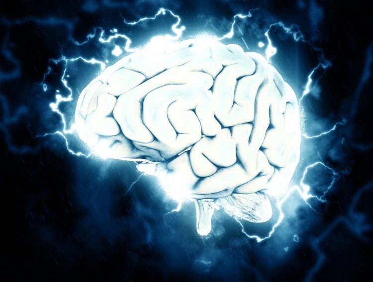 Epilepsia: o que é, quais as causas, sintomas e tratamentos naturais