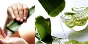 receita de aloe vera