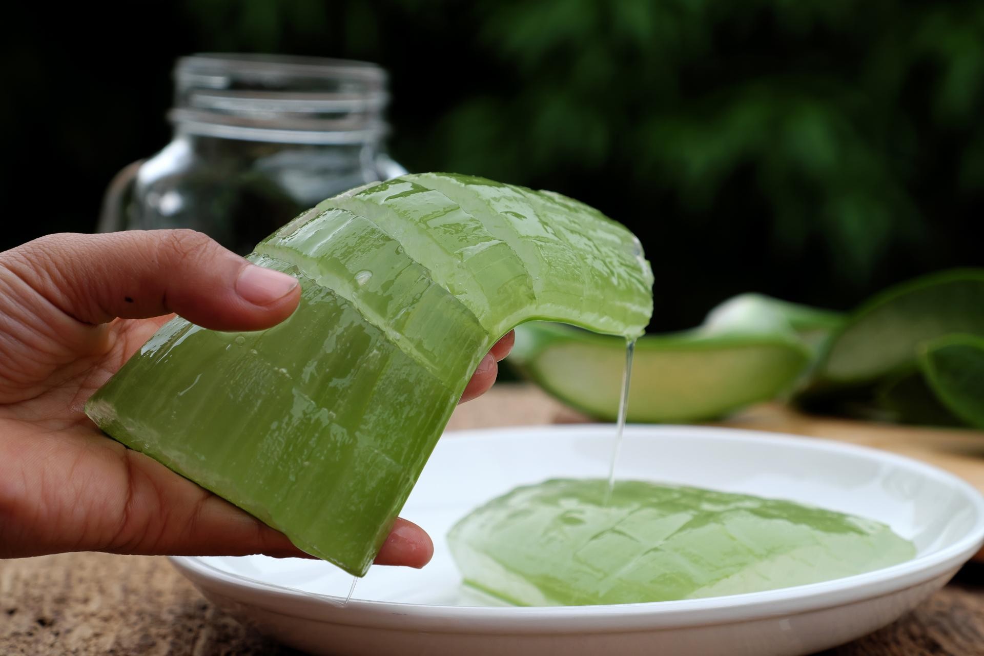 máscaras caseiras com aloe vera para cabelo