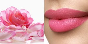 receita com petalas de rosa para ter lábios rosados