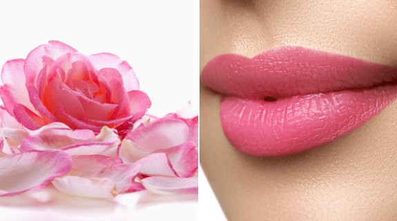 receita com petalas de rosa para ter lábios rosados