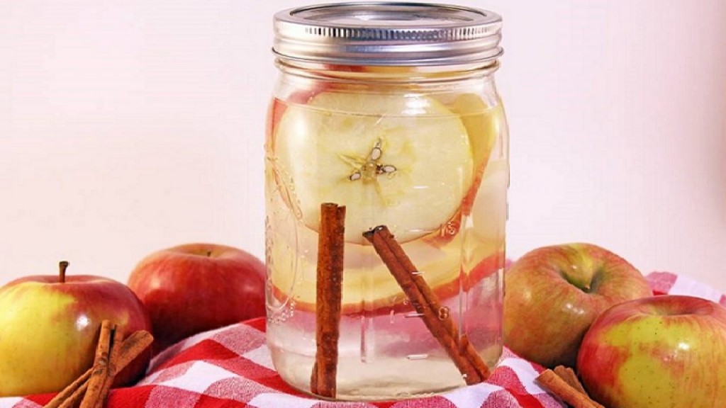 água de maçã e canela para perder peso