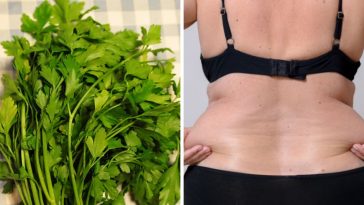 Como Usar Salsa Para Emagrecer