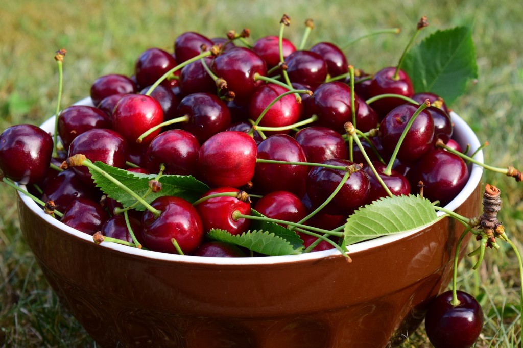 10 melhores frutas vermelhas: benefícios, receita e malefícios