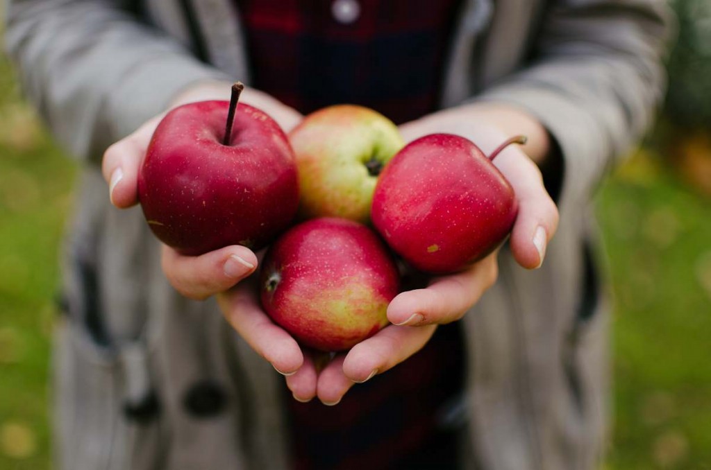 10 melhores frutas vermelhas: benefícios, receita e malefícios